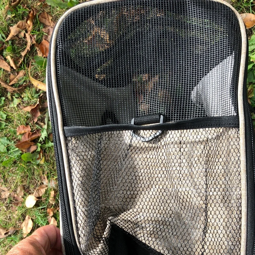 Pet Carrier with Mesh Panels